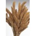 SETARIA  24" Natural-